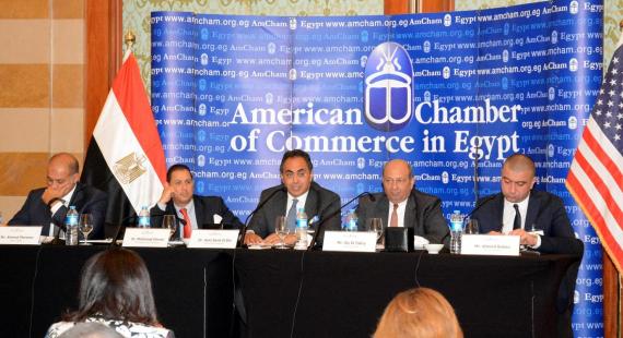 Dr. Hani Sarie-Eldin